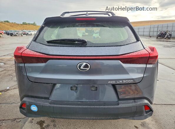JTHUCJDH9S2001488 2025 LEXUS UX Серый Вид сзади