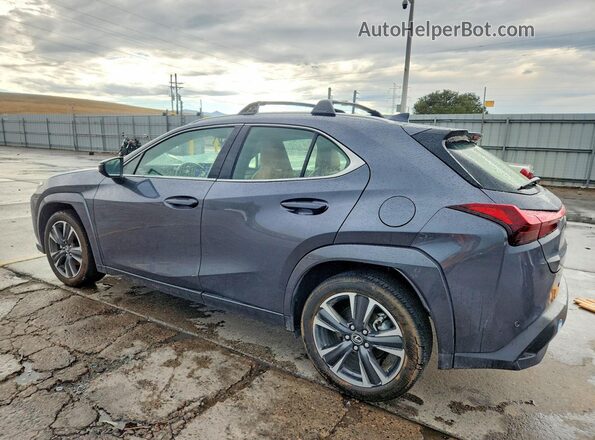 JTHUCJDH9S2001488 2025 LEXUS UX Серый Задняя левая четверть