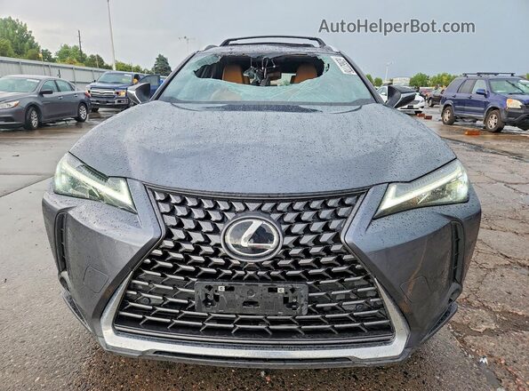 JTHUCJDH9S2001488 2025 LEXUS UX Серый Вид спереди