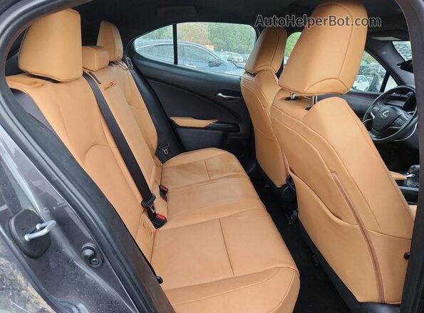 JTHUCJDH9S2001488 2025 LEXUS UX Серый Вид задней части салона