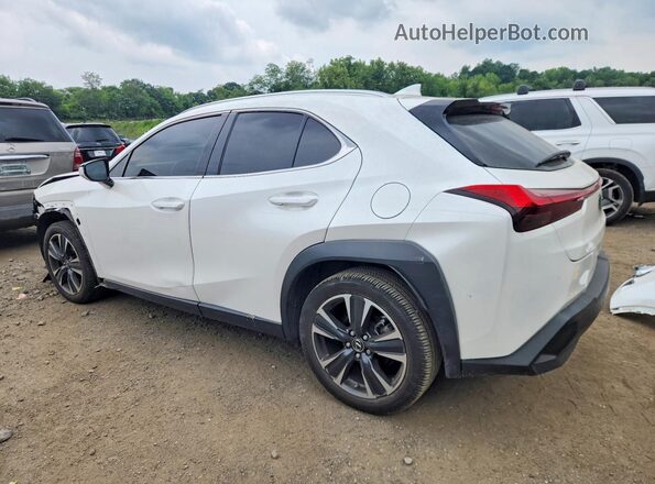 JTHX3JBH0N2055489 2022 LEXUS UX White Trasero izquierdo