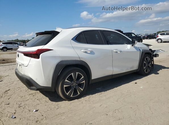 JTHX3JBH6M2041272 2021 LEXUS UX White Задня права чверть