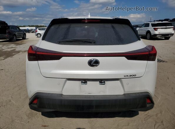 JTHX3JBH6M2041272 2021 LEXUS UX White Вид ззаду