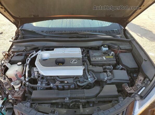JTHY3JBH0K2013596 2019 LEXUS UX Brown უკანა სალონის ხედი