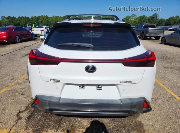 JTHY3JBH7K2010131 2019 LEXUS UX White Հետևի տեսք