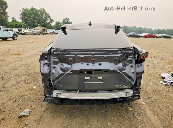 JTJAAAAB7SA030422 2025 LEXUS RZ Gray Widok z tyłu
