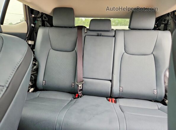 JTJAAAAB7SA030422 2025 LEXUS RZ Gray Widok tylnych siedzeń