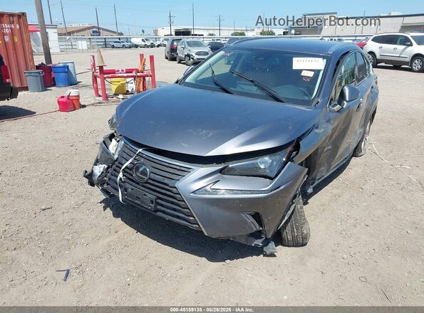 JTJAARBZ3L2168030 2020 LEXUS NX 300 Gray Դիմացի տեսք