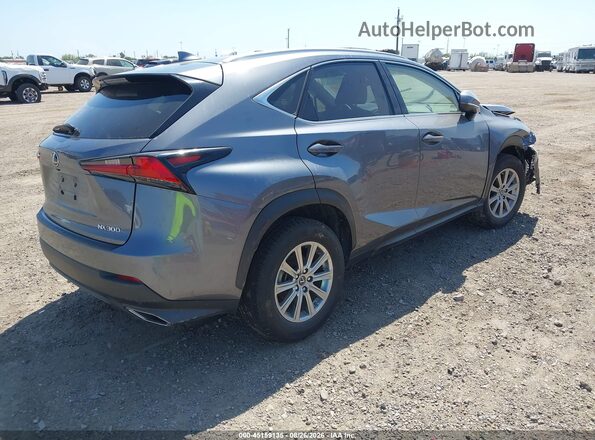 JTJAARBZ3L2168030 2020 LEXUS NX 300 Gray Հետևի աջ