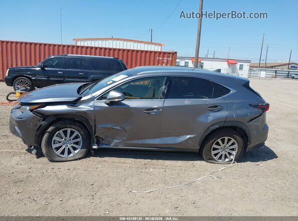 JTJAARBZ3L2168030 2020 LEXUS NX 300 Gray Սալոնի հետևի տեսք