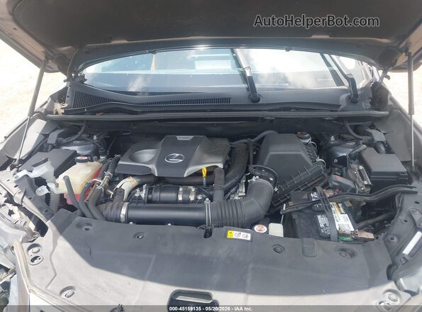JTJAARBZ3L2168030 2020 LEXUS NX 300 Gray Հետևի տեսք