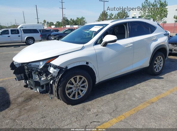 JTJAARBZ4L2158753 2020 LEXUS NX 300 White Przód lewy
