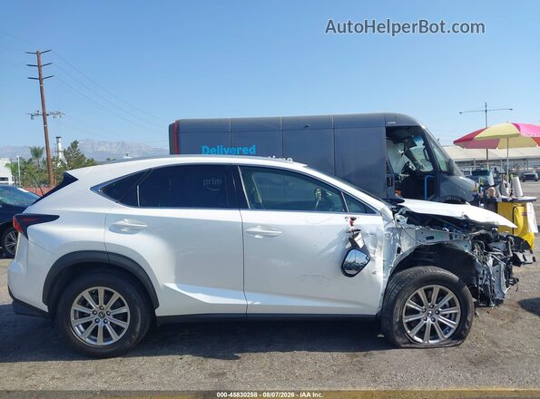 JTJAARBZ4L2158753 2020 LEXUS NX 300 White Widok wnętrza 360 stopni