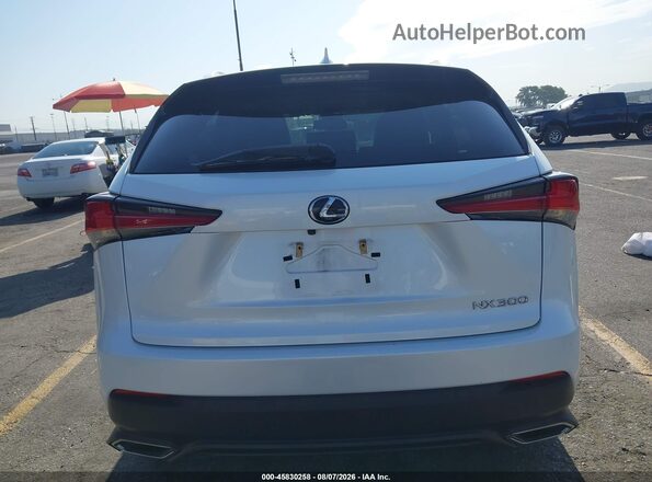 JTJAARBZ4L2158753 2020 LEXUS NX 300 White 