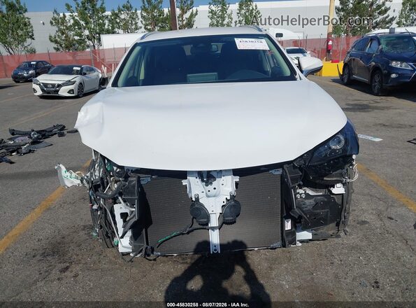 JTJAARBZ4L2158753 2020 LEXUS NX 300 White Widok wnętrza z tyłu