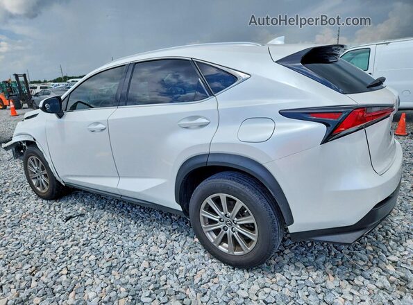 JTJAARBZ6L5018461 2020 LEXUS NX White Задня ліва чверть