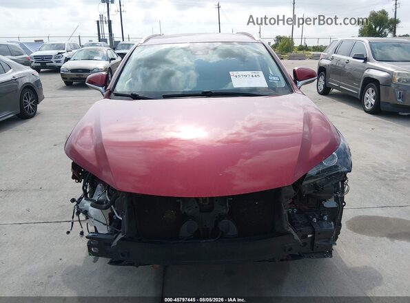 JTJAARBZ8L5009325 2020 LEXUS NX 300 Красный Вид спереди