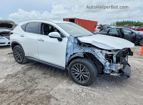 JTJADCAZ0P2006951 2023 LEXUS NX Белый Передняя правая четверть
