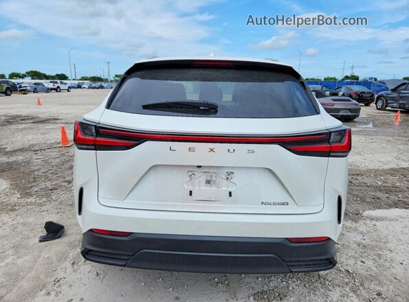 JTJADCAZ0P2006951 2023 LEXUS NX Белый Вид сзади