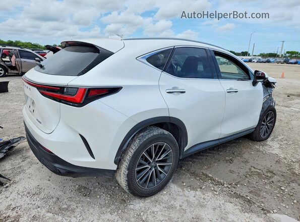JTJADCAZ0P2006951 2023 LEXUS NX Белый Задняя правая четверть