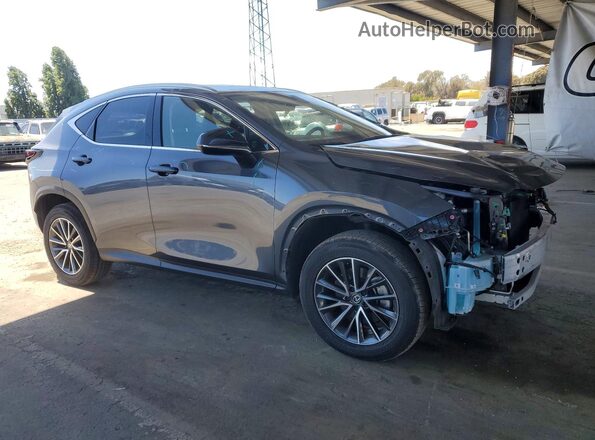JTJADCAZ4R5015797 2024 LEXUS NX Gray Передня права чверть