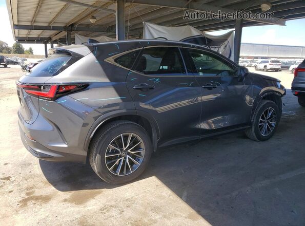 JTJADCAZ4R5015797 2024 LEXUS NX Gray Задня права чверть