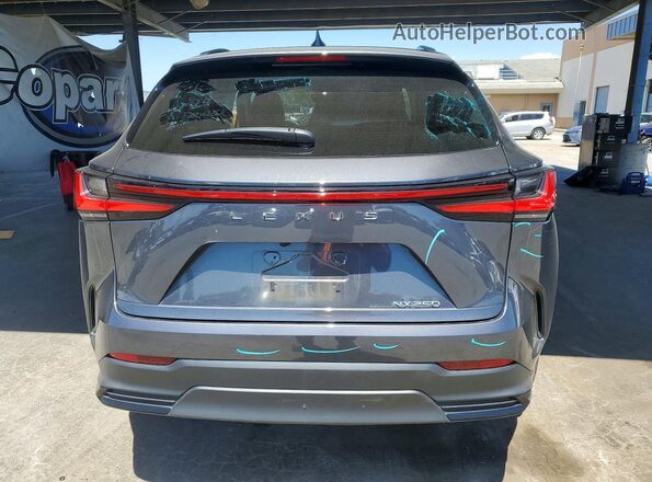 JTJADCAZ4R5015797 2024 LEXUS NX Gray Вид ззаду