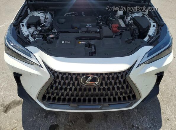JTJADCAZ6R5014246 2024 LEXUS NX White Engine compartment view