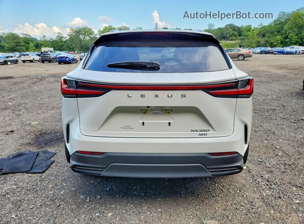 JTJAGCEZ7R5008246 2024 LEXUS NX White Вид ззаду