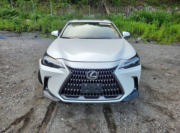 JTJAGCEZ7R5008246 2024 LEXUS NX White Вид спереду