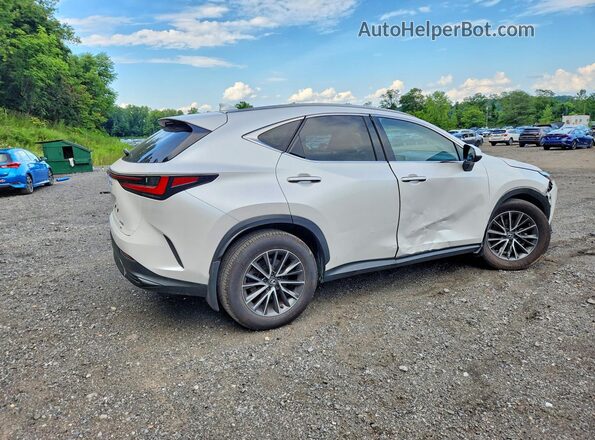 JTJAGCEZ7R5008246 2024 LEXUS NX White Задня права чверть