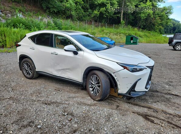 JTJAGCEZ7R5008246 2024 LEXUS NX White Передня права чверть