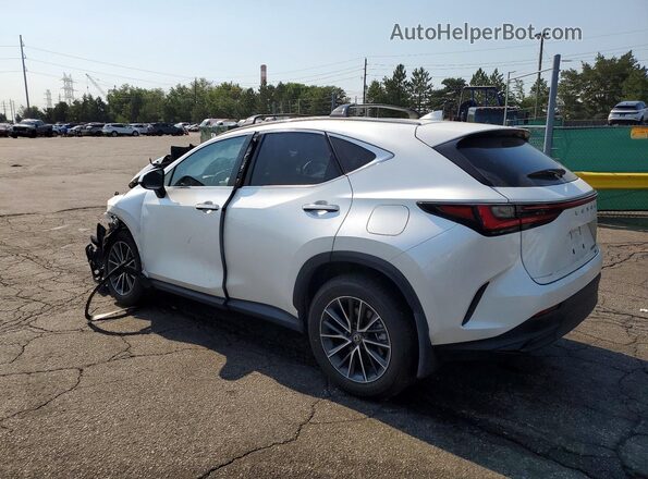 JTJAKCEZ2R2019946 2024 LEXUS NX White Tył lewy