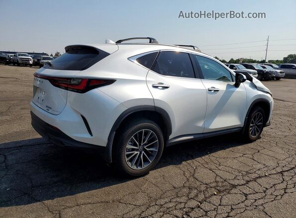 JTJAKCEZ2R2019946 2024 LEXUS NX White Tył prawy