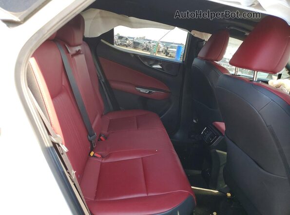 JTJAKCEZ2R2019946 2024 LEXUS NX White Widok tylnych siedzeń