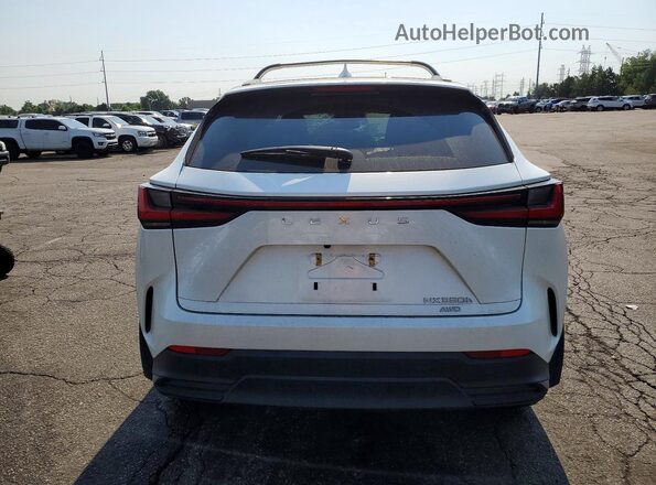 JTJAKCEZ2R2019946 2024 LEXUS NX White Widok z tyłu