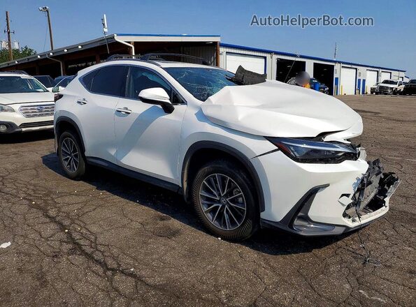 JTJAKCEZ2R2019946 2024 LEXUS NX White Przód prawy