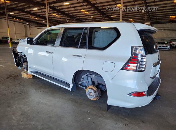 JTJAM7BX3L5253815 2020 LEXUS GX White უკანა მარცხენა