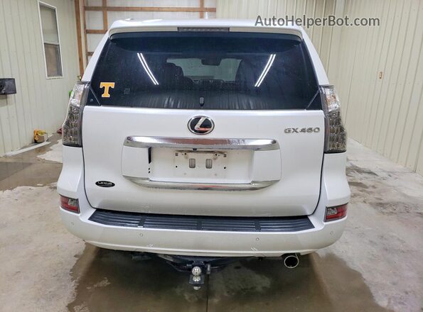 JTJAM7BX5L5254237 2020 LEXUS GX Белый Вид сзади