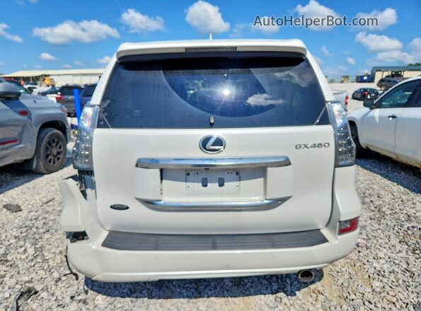 JTJAM7BX6N5309653 2022 LEXUS GX Белый Вид сзади