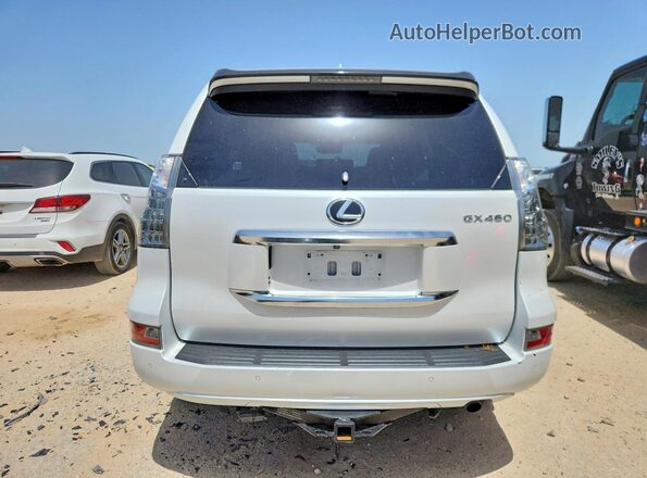 JTJAM7BX6P5383416 2023 LEXUS GX White Widok z tyłu