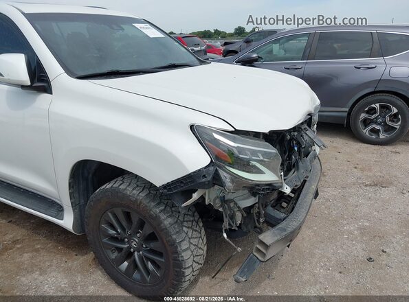 JTJAM7BX8L5259271 2020 LEXUS GX 460 White 