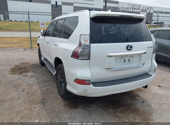 JTJAM7BX8L5259271 2020 LEXUS GX 460 White უკანა მარცხენა