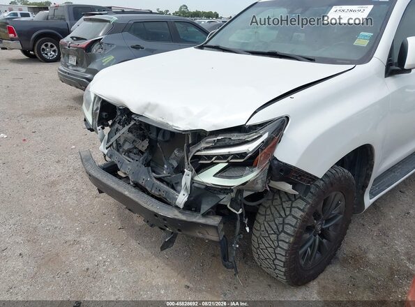 JTJAM7BX8L5259271 2020 LEXUS GX 460 White წინა ხედი