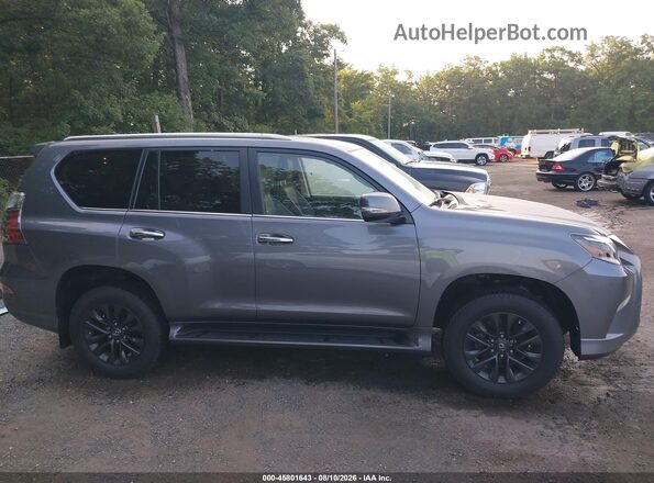 JTJAM7BX8N5335364 2022 LEXUS GX 460 Gray Սալոնի հետևի տեսք