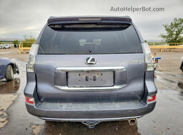 JTJAM7BXXL5264259 2020 LEXUS GX Gray Вид ззаду