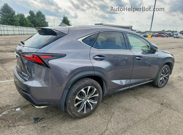 JTJBARBZ0G2061656 2016 LEXUS NX Gray Задня права чверть