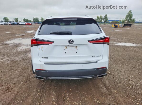 JTJBARBZ0J2168312 2018 LEXUS NX White Rear view