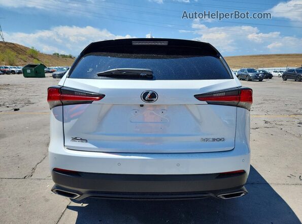 JTJBARBZ0K2185628 2019 LEXUS NX White უკანა ხედი
