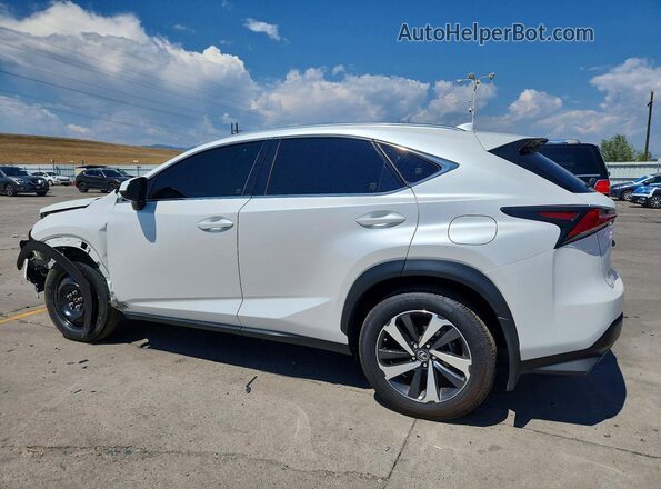 JTJBARBZ0K2185628 2019 LEXUS NX White უკანა მარცხენა